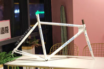 Colnago crono Tony Rominger TT frame photo