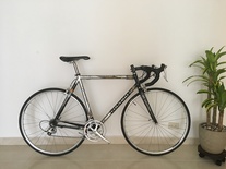 COLNAGO CT1 LUX TITANIO