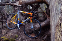 Colnago Dream Plus Pista Rabobank photo