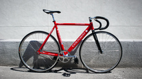 Colnago Dream Swiss Team photo