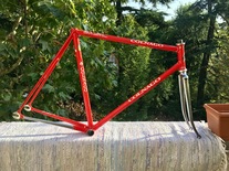 Colnago Esamexico Pista FCI n 011 1988