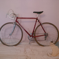 Colnago Junior (Full campagnolo) 84'