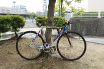 Colnago lux dream pista (for sale) photo