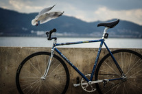 colnago master 53 blue photo