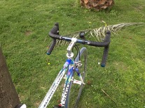 Colnago Master Olympic 1993