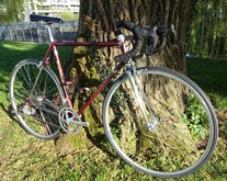 Colnago Master Piu photo