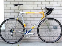 _Colnago Master "Rabobank" AD23