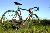 Colnago Profil CX photo