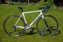 Colnago Ramarro photo