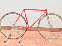 Colnago Super Pista FCI 48,5x52 (2)