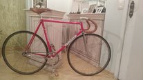 Colnago Superíssima Pista FCI