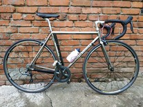 Colnago titanio photo