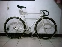 "colnano" (colnago paint job) pearl