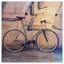 Colossi photo
