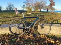 Colossi Al Colossione