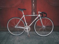 Colossi Cheeko Classic