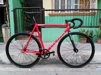 Colossi Cheeko Red photo