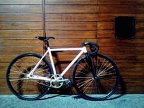 Colossi Cheeko Track
