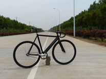 Colossi Low Pro