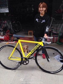 COLOSSI LOW PRO