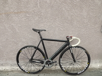 Colossi Low Pro 14