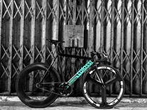 Colossi Low Pro