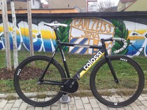 Colossi Low Pro