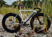 Colossi Low pro photo