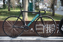 Colossi Low Pro