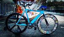 Colossi Low Pro