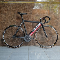 Colossi Low Pro