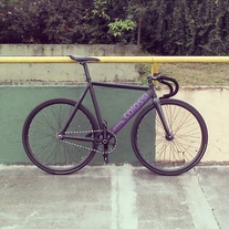 Colossi Low Pro - Custom Color photo