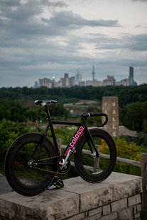 Colossi Low Pro Limited