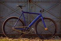 Colossi Low Pro Limited Saint Petersburg