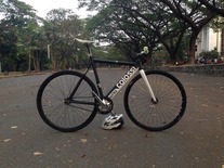 Colossi Custom Low Pro "Tathiana" photo