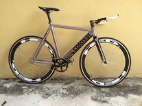 Colossi Low Pro(Malaysia) photo