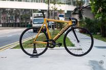 Colossi lowpro - The Golden Boy