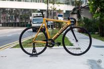 Colossi lowpro - The Golden Boy photo