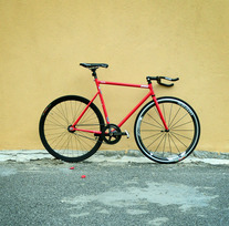 Colossi Pursuit photo