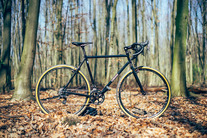 Colossi Rambler CX photo