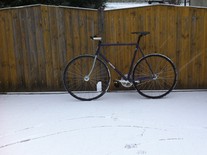 Colossi steel beater photo