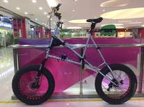 Colossi Tall Bike