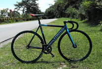 Colossi WeFXD Low Pro photo