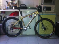 Commencal Absolut