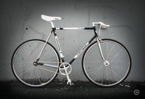 Concorde Fixed Gear