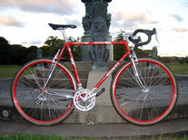 Conti Astore