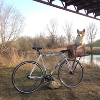 Corgi Carrier photo