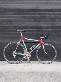 Cramerotti lo-pro custom
