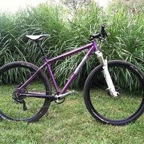 Crohns Awareness XC race Rig photo