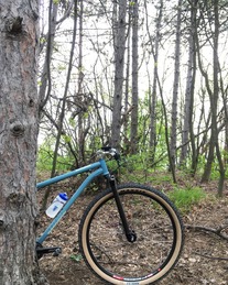 Csepel Woodlands Expert 29cr-mo photo